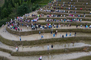 Popolo Zhuang che fa attività sui campi terrazzati di Longji