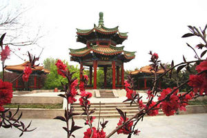 Padiglione delle peonie Er Qiao nel Parco Nazionale dei Fiori Cinese