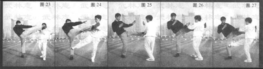 Movimenti del Wing Chun