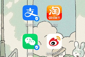 Applicazioni frequenti in Cina