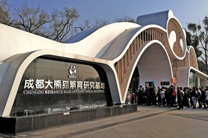 Base per allevamento dei panda di Chengdu