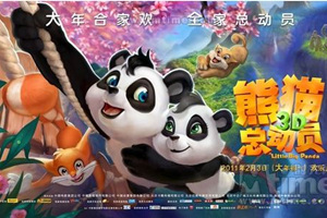 Il film Piccolo Grande Panda