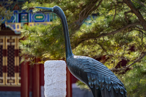 Gru di bronzo nel Parco Jingshan Pechino