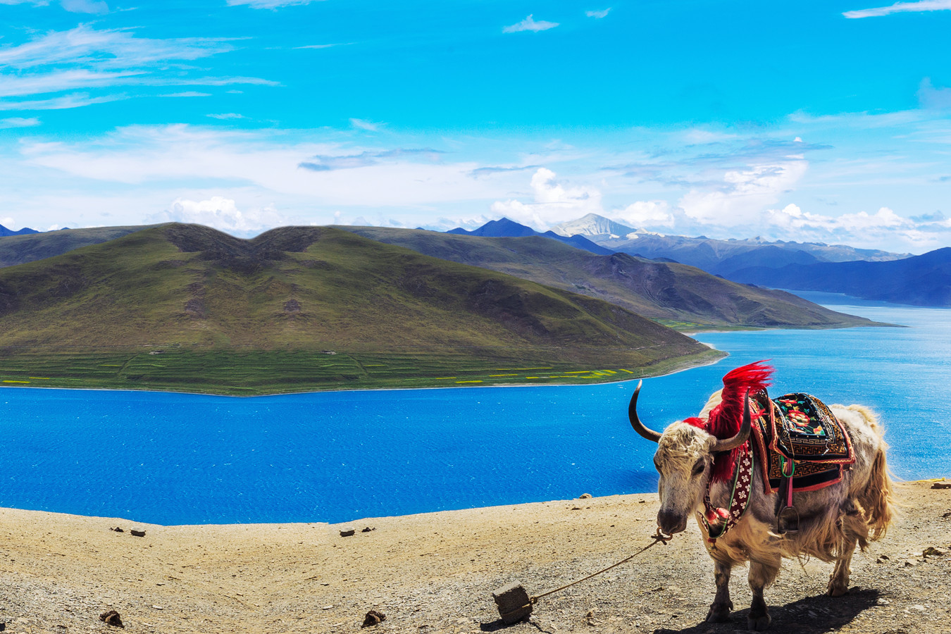 Itinerario Cina 14 Giorni di Esplorazione del Tibet