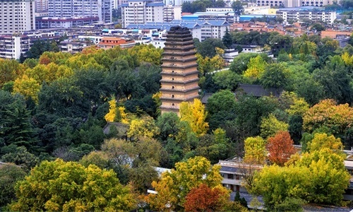 Piccola Pagoda dell'Oca Selvatica