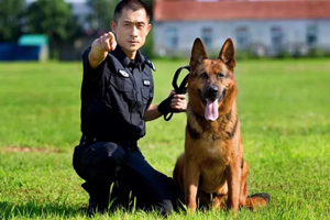 Poliziotto e cane