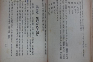 Libro antico cinese per l' oroscopo 
