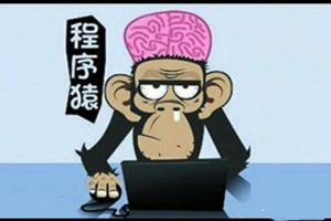 Occupazione adatta alle scimmia: programmatore