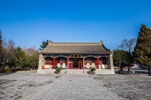 Una Sala della Pagoda Grande Oca Selvatica