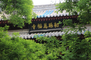 Tempio Jianfu nella Piccola Oca Selvatica